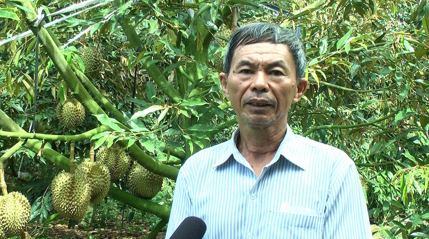 HANHBUI DRT5053.01_03_00_02.Still121